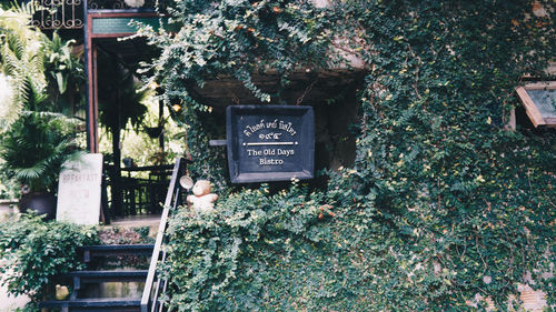 Information sign against trees