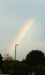 Low angle view of rainbow over trees against sky