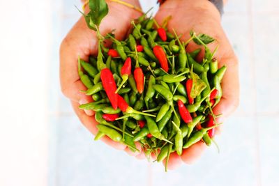 Close-up of hand holding vegetables