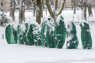 Plants, bushes and trees in a park or garden covered with green blanket antifreeze, swath of burlap