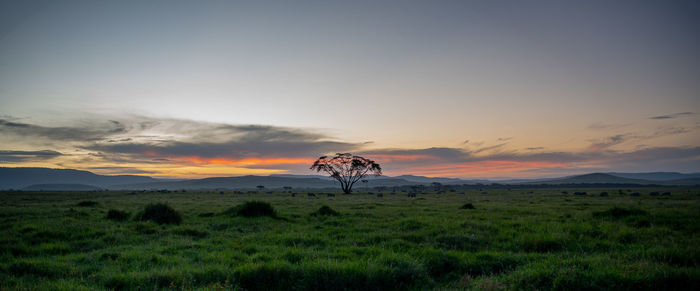 View of a horse on field against sunset sky