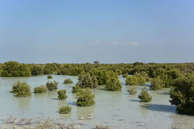 Scenic view of lake against clear sky