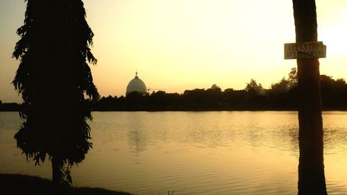 Silhouette of trees at sunset