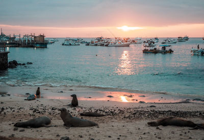 Scenic view of sea against sky during sunset