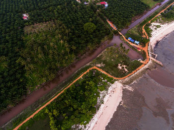 Aerial view of road amidst trees