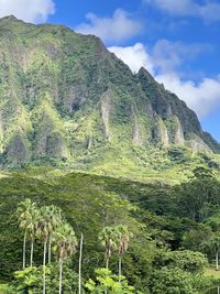 mountain