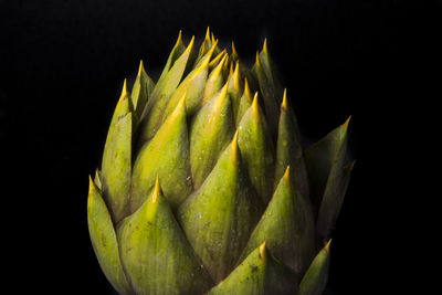 Close-up of lemon against black background