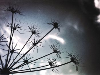 Low angle view of silhouette palm tree against sky