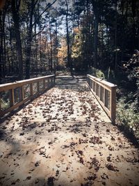 View of footbridge in forest