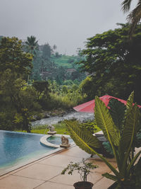 High angle view of palm trees by swimming pool against sky