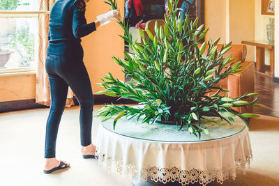 Low section of woman standing by potted plants at home