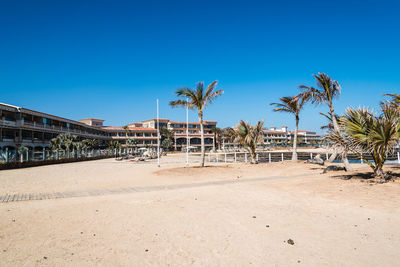 Palm trees on beach against clear blue sky