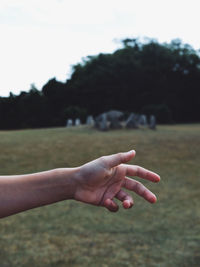 Person hand holding plant on field