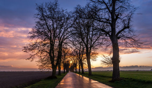 Road amidst bare trees against sky during sunset
