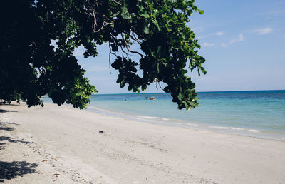 Scenic view of calm beach against cloudy sky