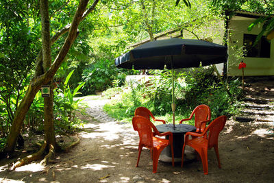 Empty chairs and table against trees in forest