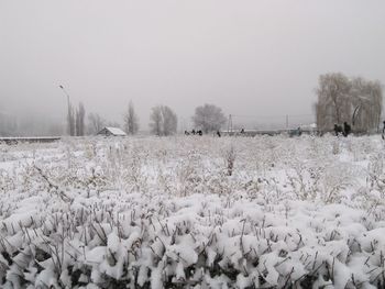 Scenic view of frozen field against sky during winter