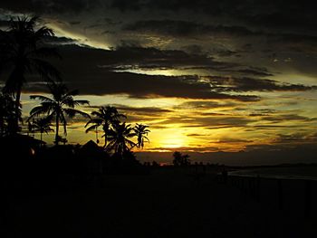 Silhouette trees on landscape against romantic sky at sunset