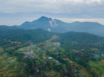 environment