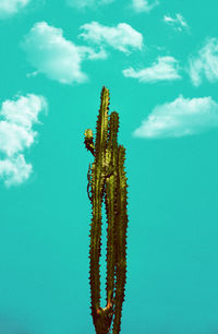 Close-up of crab on plant against blue sky