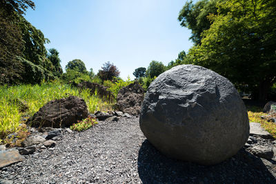 Close-up of rocks against clear sky