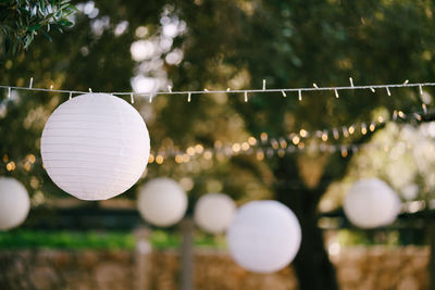 Close-up of light bulb hanging outdoors