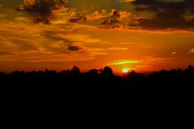 Silhouette of trees at sunset