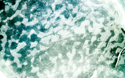 High angle view of ice crystals on swimming pool