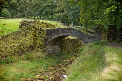 Arch bridge amidst trees