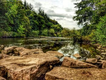 Scenic view of lake in forest against sky