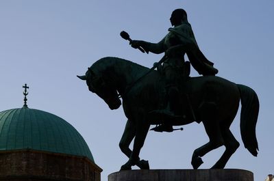 Low angle view of horse in city