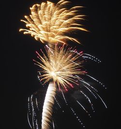 Low angle view of firework display at night