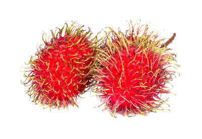 Close-up of fruit against white background