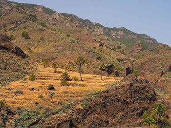 Scenic view of landscape against clear sky