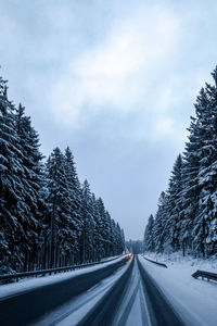 Road amidst snow covered trees against sky