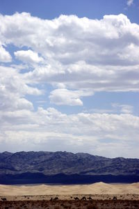 Scenic view of landscape against cloudy sky
