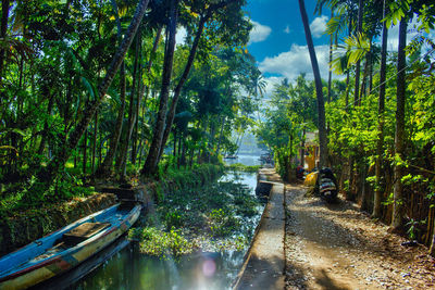 Canal amidst trees in forest