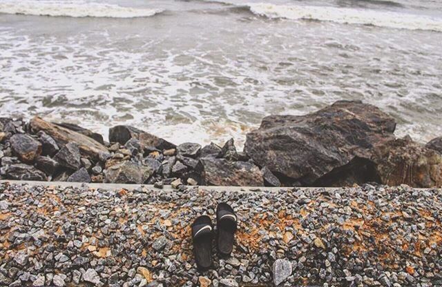 BIRD ON BEACH