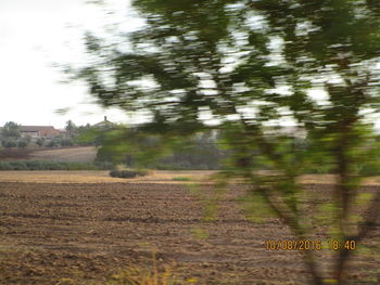 Blurred motion of trees on field