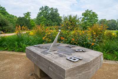 Yellow flowers growing on field by trees against sky
