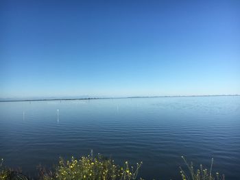 Scenic view of lake against clear blue sky