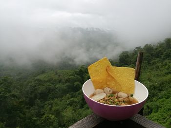 Close up of food in bowl