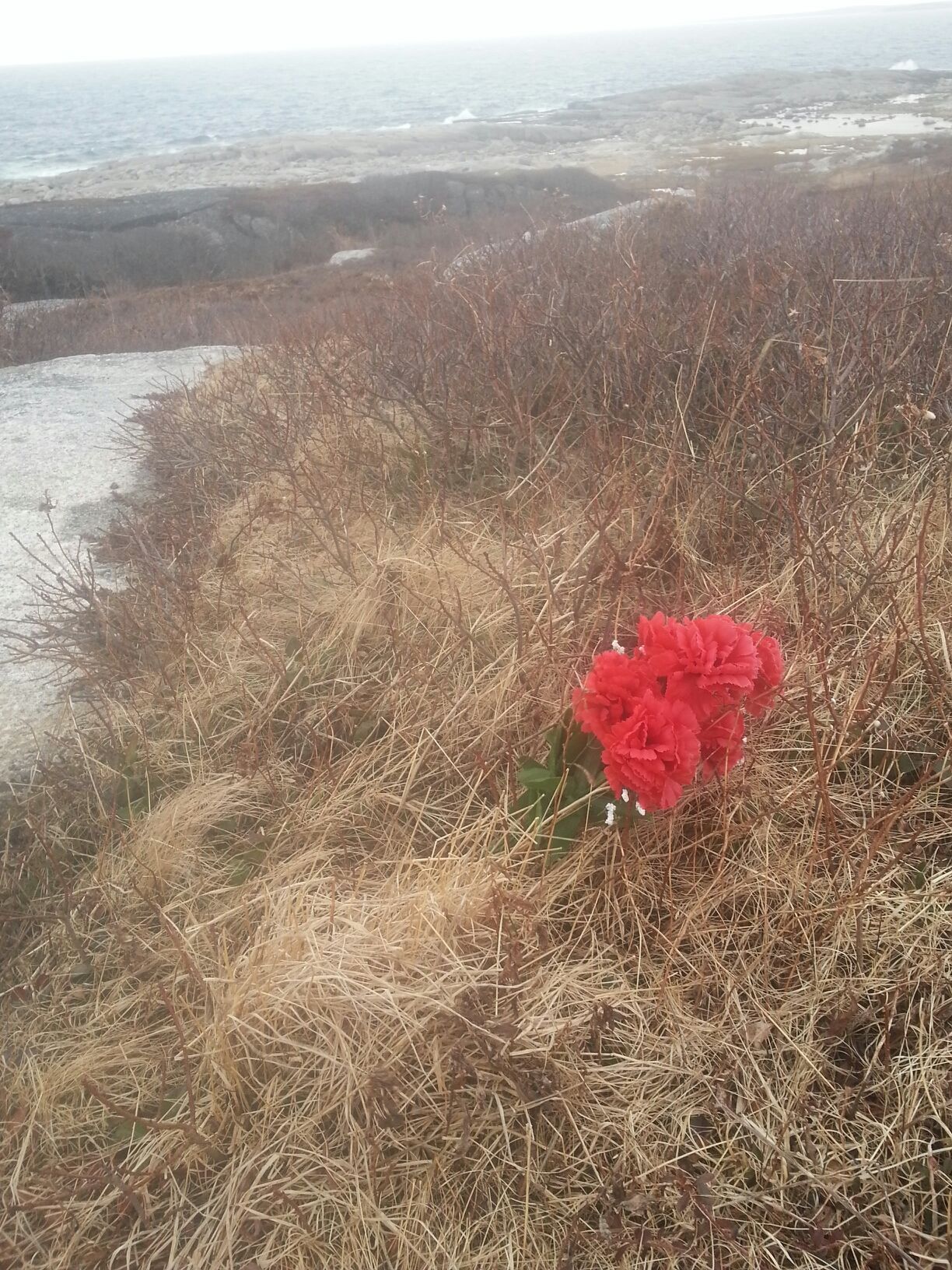 Peggy's Cove