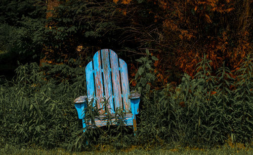 Empty bench on field by trees in forest