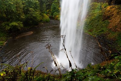 Scenic view of waterfall in forest