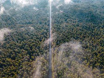 High angle view of waterfall in forest