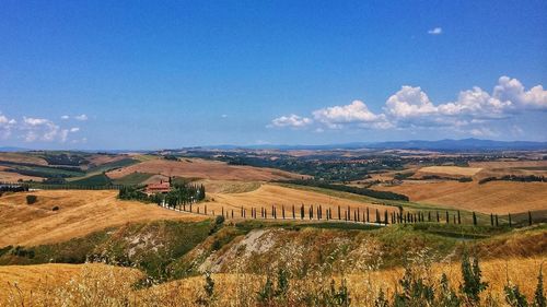 Scenic view of agricultural field against sky