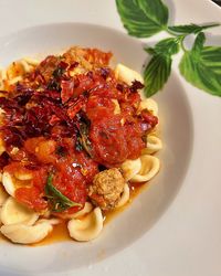 Orecchiette pasta, puglian pasta, pasta dish with meatballs and tomato sauce, crushed dried peppers