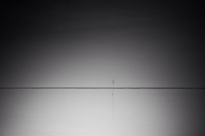 Low angle view of tree against sky