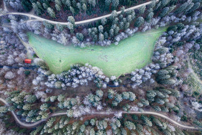 High angle view of river amidst trees